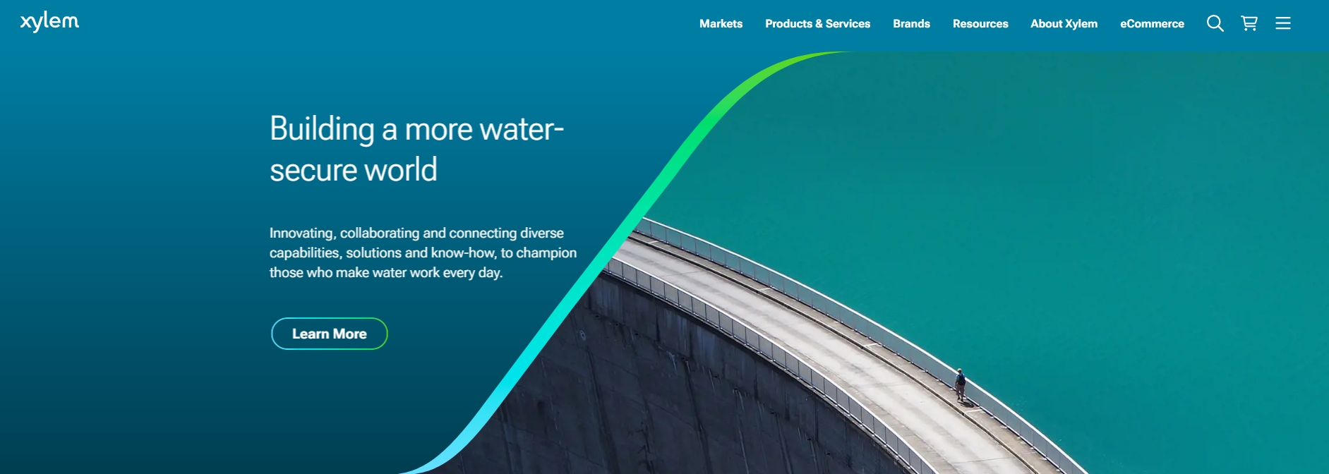 Xylem